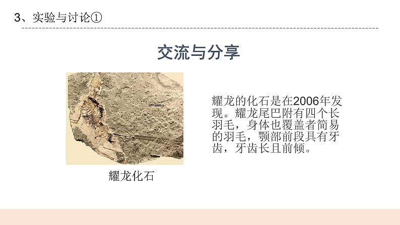 4.4《生物进化的证据》课件第7页