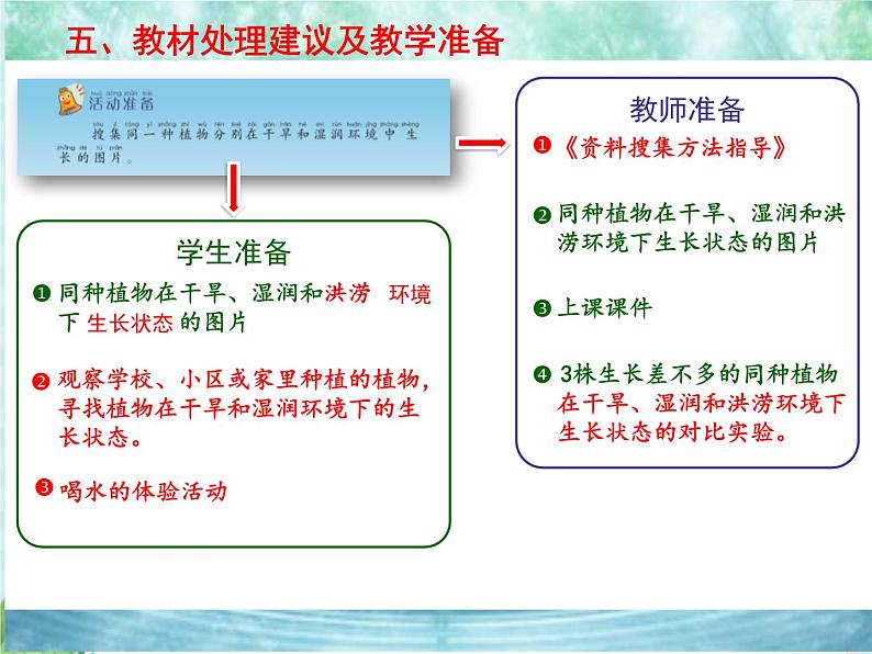 11.植物和水 课件PPT06