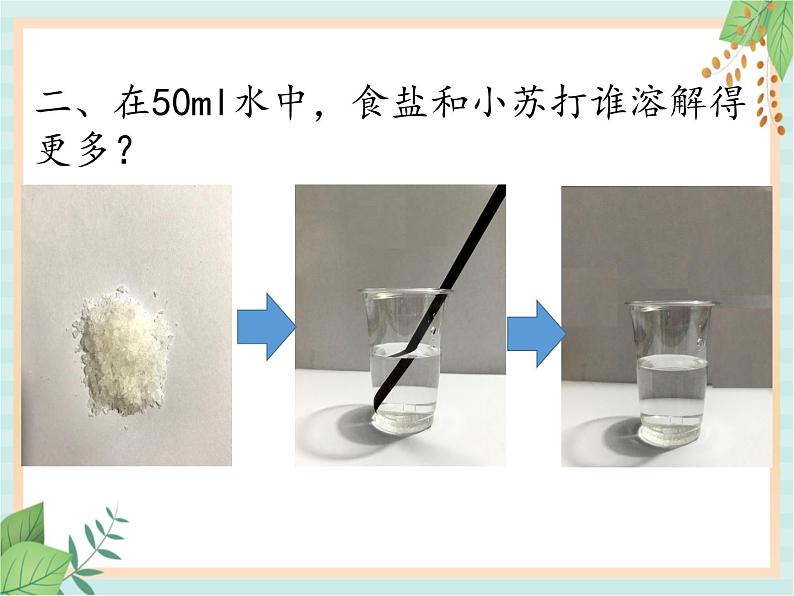 13谁在水中溶解得多 课件PPT08