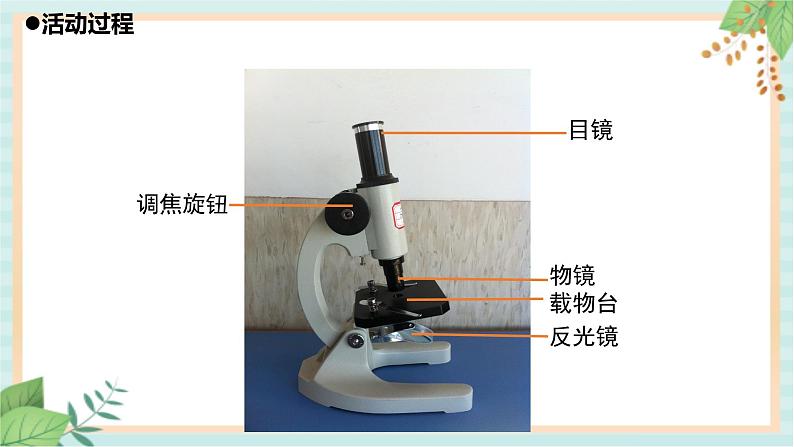 1细胞 课件PPT07