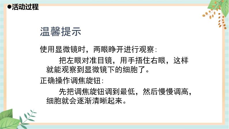 1细胞 课件PPT08