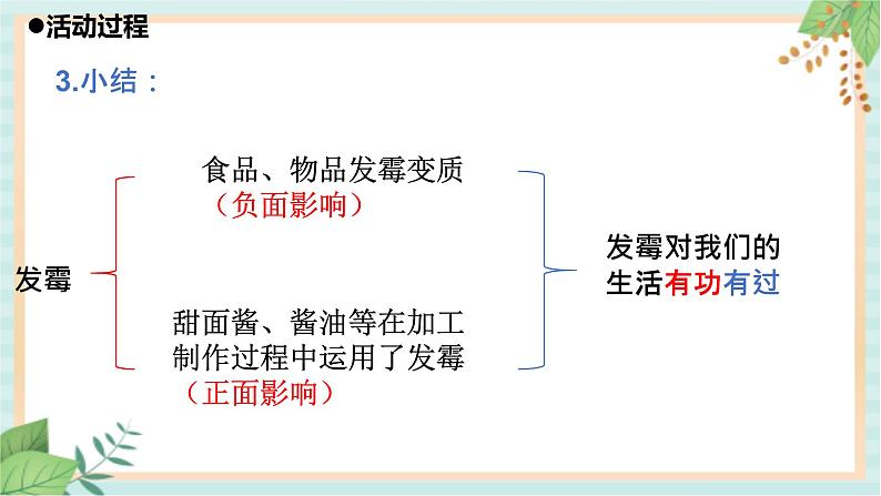 14发霉与防霉 课件PPT第7页