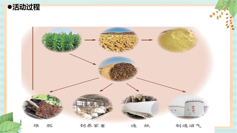 24自然资源的回收和再利用 课件PPT05