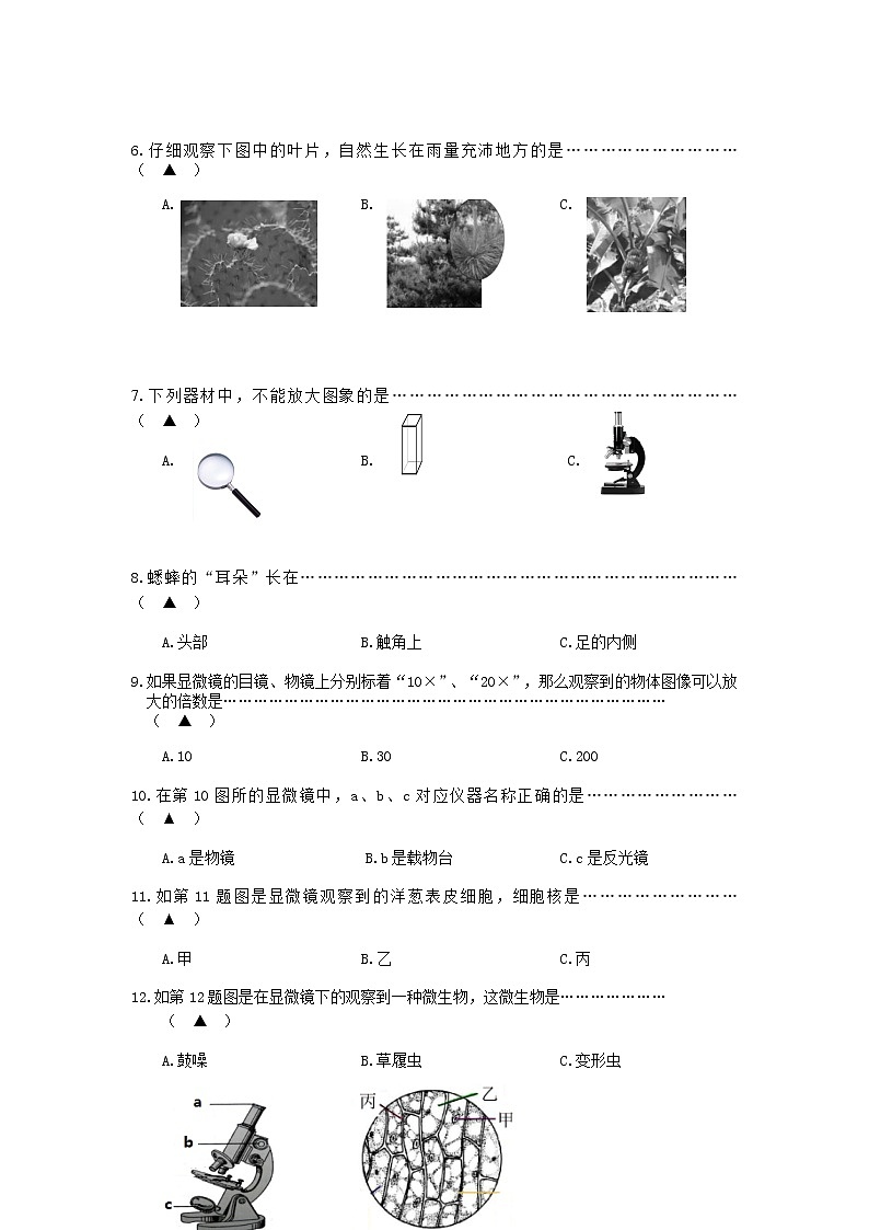 浙江省金华市义乌市六年级下学期期末考试科学试题02