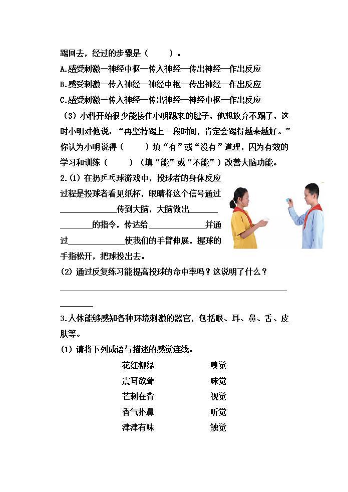 教科版五上第四单元第5课《身体的“联络员”》习题第3页