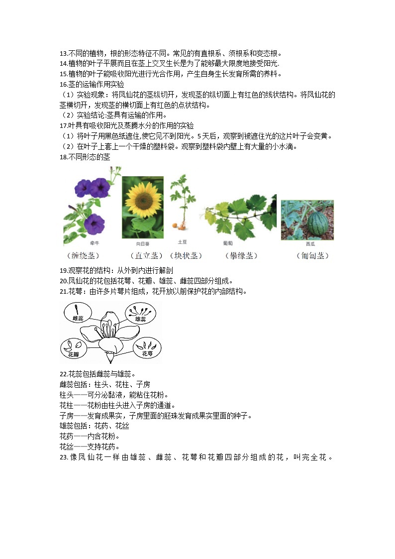 2022年新改版教科版四年级下册科学全册知识点(含问答题总结)第2页