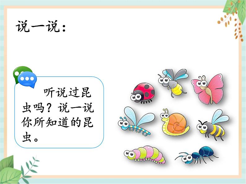 湘科版科学三年级上册2.1昆虫 课件02