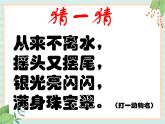 湘科版科学三年级上册2.2鱼 课件