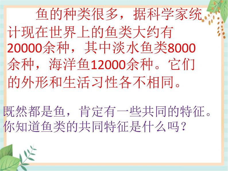 湘科版科学三年级上册2.2鱼 课件04