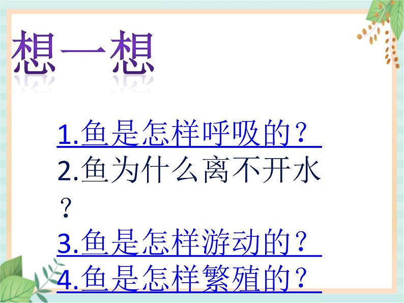 湘科版科学三年级上册2.2鱼 课件05