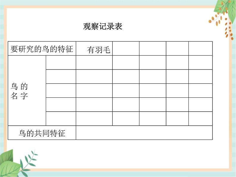 湘科版科学三年级上册2.3鸟 课件05