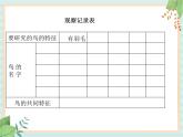 湘科版科学三年级上册2.3鸟 课件