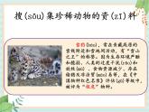 湘科版科学三年级上册2.5珍稀动物 课件