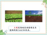 湘科版科学三年级上册3.1采集土壤 课件