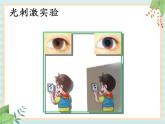 1.1人体对刺激的反应 （课件）科学五年级上册  湘科版