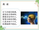 1.2人体指挥部—脑(课件）科学五年级上册 湘科版