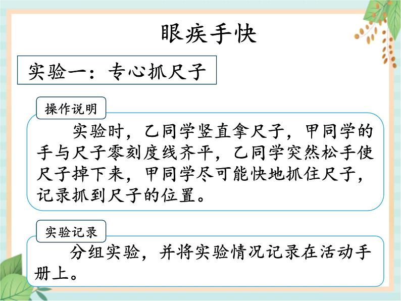 1.2人体指挥部—脑(课件）科学五年级上册 湘科版04