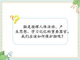 1.3保护我们的脑 （课件）科学五年级上册  湘科版