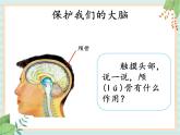 1.3保护我们的脑 （课件）科学五年级上册  湘科版