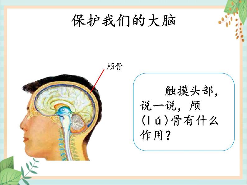 1.3保护我们的脑 （课件）科学五年级上册  湘科版04