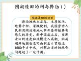 3.6人类活动对地表变化的影响 （课件）科学五年级上册 湘科版
