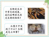 4.3生锈（课件）科学五年级上册  湘科版