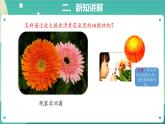 4《学会运用工具》课件PPT+教案