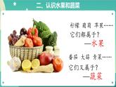 5《常见的水果和蔬菜》课件PPT+教案