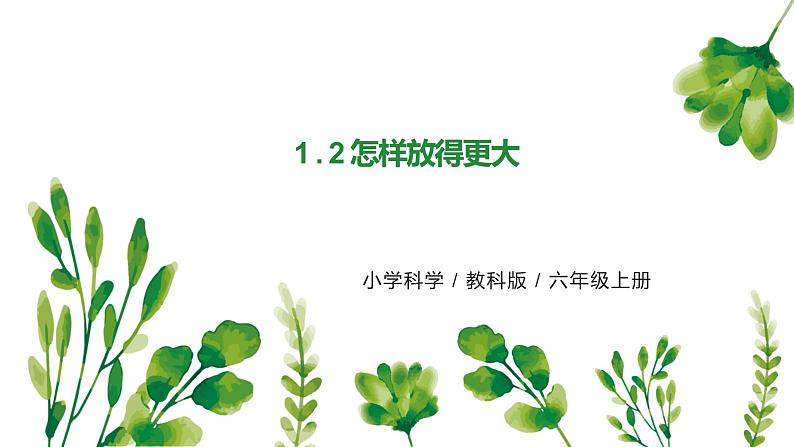 教科版（2017）6上科学2《怎样放得更大》课件PPT+教案01