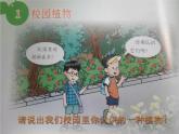 1.1 校园里的植物 课件