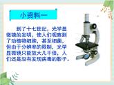 青岛版六三制6上科学《1 病毒》课件1