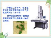 青岛版六三制6上科学《1 病毒》课件1