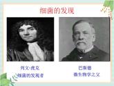 青岛版六三制6上科学《2 细菌》课件2