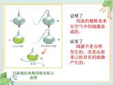 青岛版六三制6上科学《2 细菌》课件2