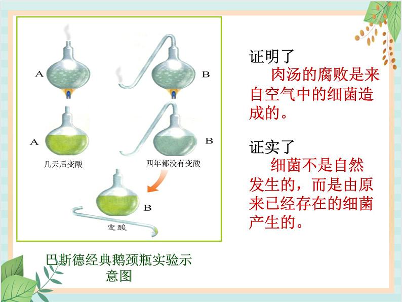 青岛版六三制6上科学《2 细菌》课件204