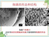 青岛版六三制6上科学《2 细菌》课件2