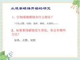 青岛版六三制6上科学《5 蜡烛的变化》课件2