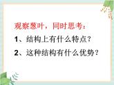 青岛版六三制6上科学《25 生物的启示》课件1