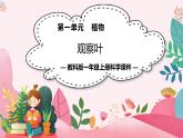 教科版科學(xué)一年級(jí)上冊(cè) 第一單元植物  3.觀察葉  課件