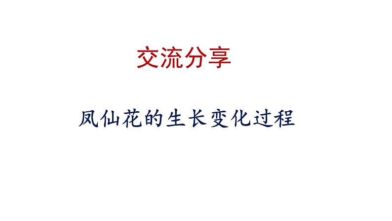 四年级下册科学课件-8《凤仙花的一生》教学课件 教科版 (共14张PPT)第2页