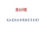 四年级下册科学课件-8《凤仙花的一生》教学课件 教科版 (共14张PPT)