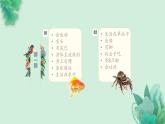 教科版科學一年級下冊  第二單元動物  2.校園里的動物  課件