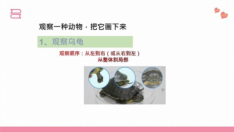 教科版科学一年级下册  第二单元动物  1.我们知道的动物  课件第6页