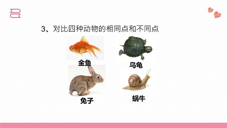 教科版科学一年级下册  第二单元动物  1.我们知道的动物  课件第8页