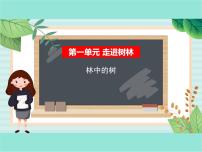 小学科学鄂教版五年级上册第一单元 走进树林2 林中的树教课内容课件ppt