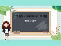 小学科学鄂教版五年级上册7 茅草与锯子备课课件ppt