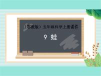 科学五年级上册9蛙图文课件ppt