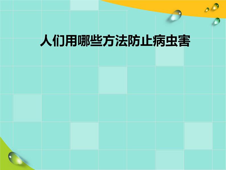 五年级上册科学课件－第23课《防治病虫害》｜鄂教版 (共21张PPT)04