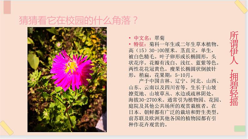 四年级上册科学课件-6校园里有哪些植物 （PPT10张） 鄂教版04