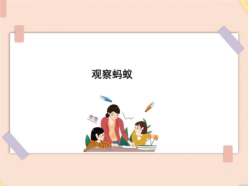 四年级上册科学课件－9观察蚂蚁 ｜鄂教版  (共15张PPT)01